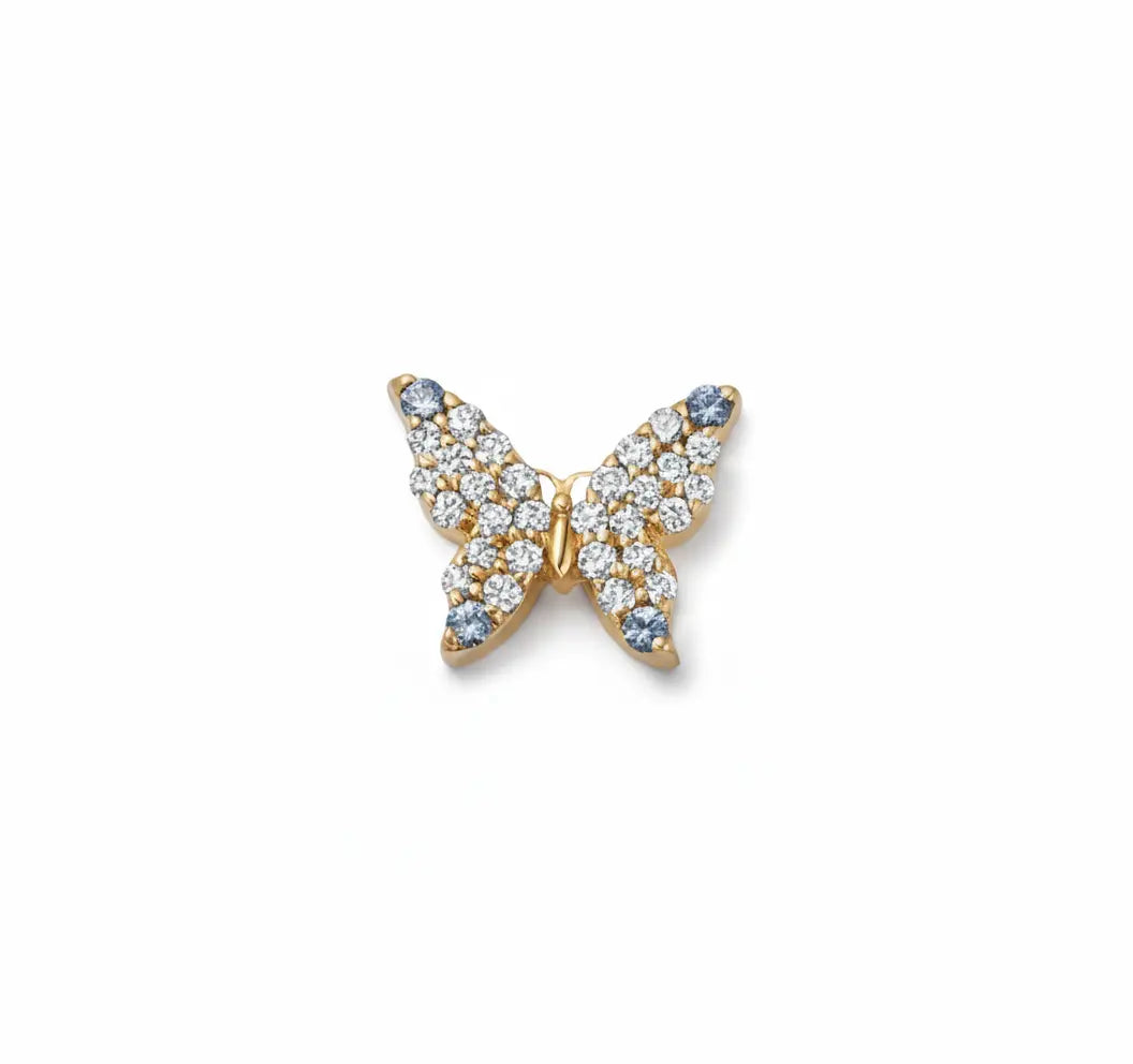 Charm Mariposa My Store